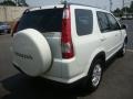 2005 Taffeta White Honda CR-V Special Edition 4WD  photo #5