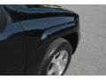 2007 Black Chevrolet TrailBlazer LS 4x4  photo #10