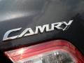 Magnetic Gray Metallic - Camry  Photo No. 28