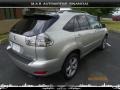 Millennium Silver Metallic - RX 350 AWD Photo No. 6