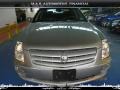 Light Platinum - STS 4 V6 AWD Photo No. 1