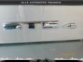 Light Platinum - STS 4 V6 AWD Photo No. 19