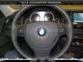 2010 Titanium Silver Metallic BMW 7 Series 750Li xDrive Sedan  photo #21