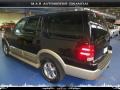 Black Clearcoat - Expedition Eddie Bauer 4x4 Photo No. 4