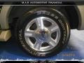 Black Clearcoat - Expedition Eddie Bauer 4x4 Photo No. 7
