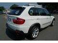 2010 Alpine White BMW X5 xDrive48i  photo #5