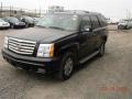 Black Raven - Escalade AWD Photo No. 2