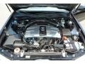 Nighthawk Black Pearl - RL 3.5 Photo No. 22
