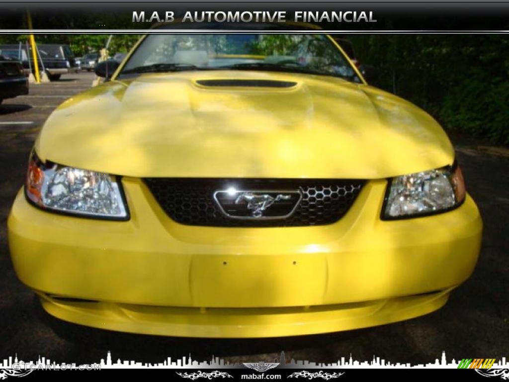 2002 Mustang V6 Convertible - Zinc Yellow / Oxford White photo #1