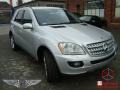Iridium Silver Metallic - ML 500 4Matic Photo No. 1