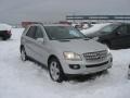 Iridium Silver Metallic - ML 500 4Matic Photo No. 4