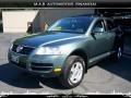 Reed Green Metallic - Touareg V6 Photo No. 2
