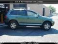 Reed Green Metallic - Touareg V6 Photo No. 7