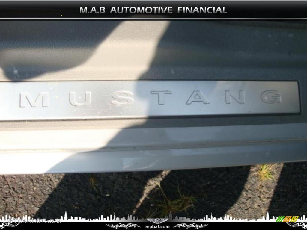 2006 Mustang GT Premium Coupe - Satin Silver Metallic / Light Graphite photo #28
