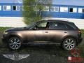 Beryllium 16 Metallic - FX 45 AWD Photo No. 3