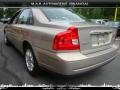 Ash Gold Metallic - S80 2.5T AWD Photo No. 3