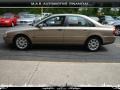 Ash Gold Metallic - S80 2.5T AWD Photo No. 7