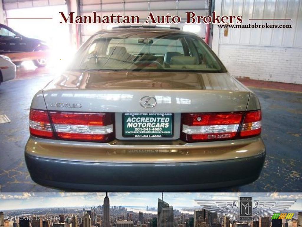 2000 ES 300 Sedan - Burnished Gold Metallic / Ivory photo #6