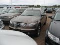 Beryllium 16 Metallic - FX 45 AWD Photo No. 15