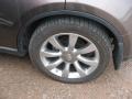 Beryllium 16 Metallic - FX 45 AWD Photo No. 23