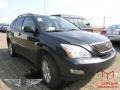 Flint Gray Mica - RX 330 AWD Photo No. 2