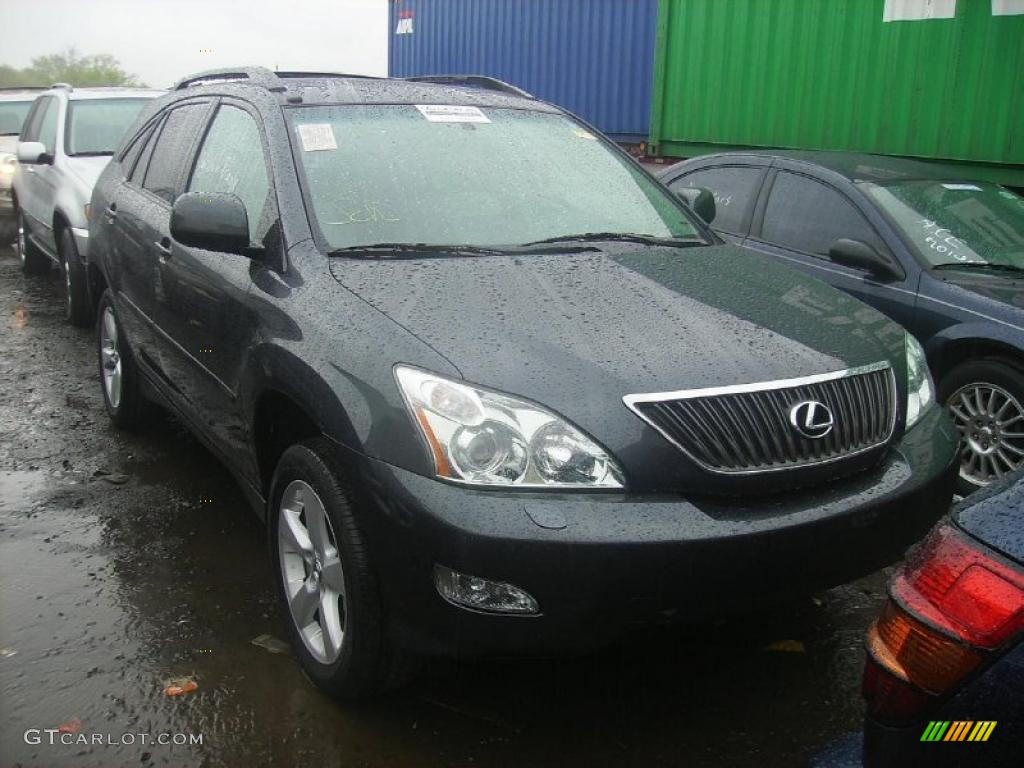 2005 RX 330 - Black Onyx / Light Gray photo #1