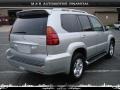Silver Pine Metallic - GX 470 Photo No. 3