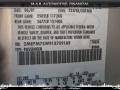 Silver Frost Metallic - Grand Marquis LS Photo No. 20