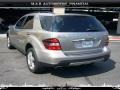 Pewter Metallic - ML 350 4Matic Photo No. 6