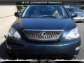 Flint Gray Mica - RX 330 AWD Photo No. 1