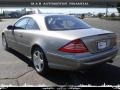 Pewter Silver Metallic - CL 500 Photo No. 2