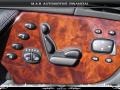 Pewter Silver Metallic - CL 500 Photo No. 12