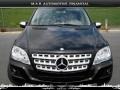 Black - ML 350 4Matic Photo No. 1