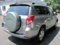 2007 Everglade Metallic Toyota RAV4 4WD  photo #2