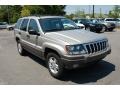 2003 Light Pewter Metallic Jeep Grand Cherokee Laredo  photo #1