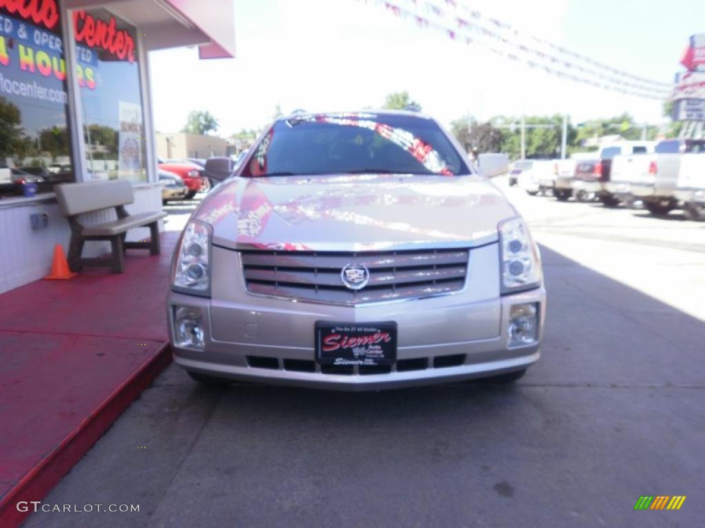 2004 SRX V6 - Light Platinum Metallic / Light Neutral photo #2