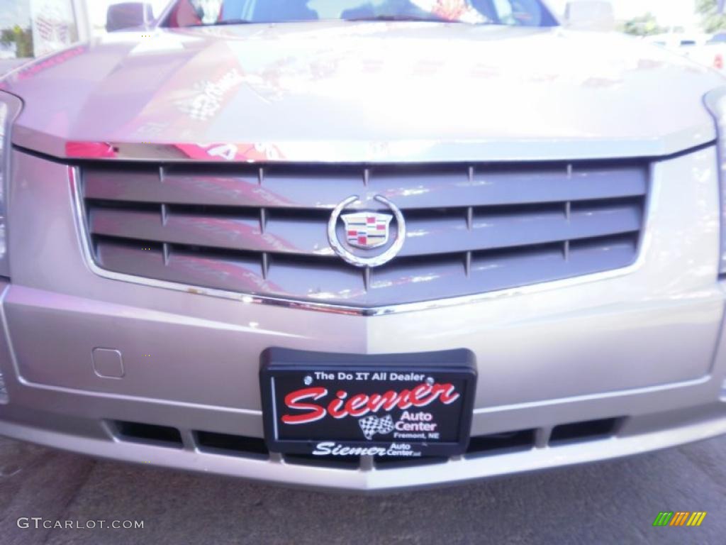2004 SRX V6 - Light Platinum Metallic / Light Neutral photo #22