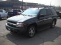 Graphite Metallic - TrailBlazer LS 4x4 Photo No. 16