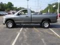 2007 Mineral Gray Metallic Dodge Ram 1500 SLT Regular Cab 4x4  photo #9