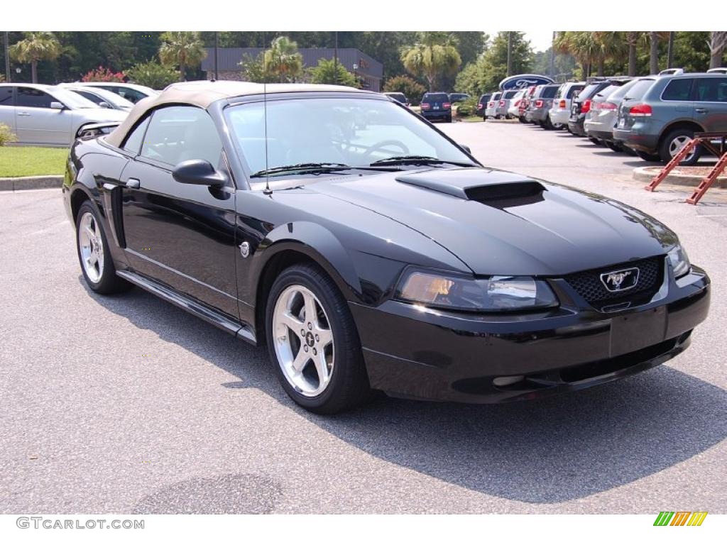 2004 Mustang GT Convertible - Black / Medium Parchment photo #1