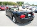 Black - Mustang GT Convertible Photo No. 17