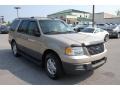 Pueblo Gold Metallic 2004 Ford Expedition XLT