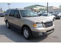 2004 Pueblo Gold Metallic Ford Expedition XLT  photo #1