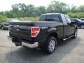 Black - F150 XLT SuperCab 4x4 Photo No. 3