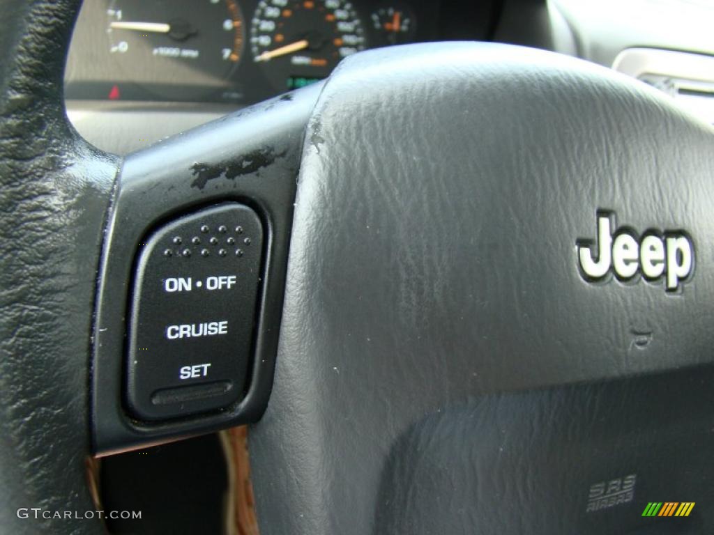 2003 Grand Cherokee Laredo 4x4 - Graphite Metallic / Dark Slate Gray photo #30