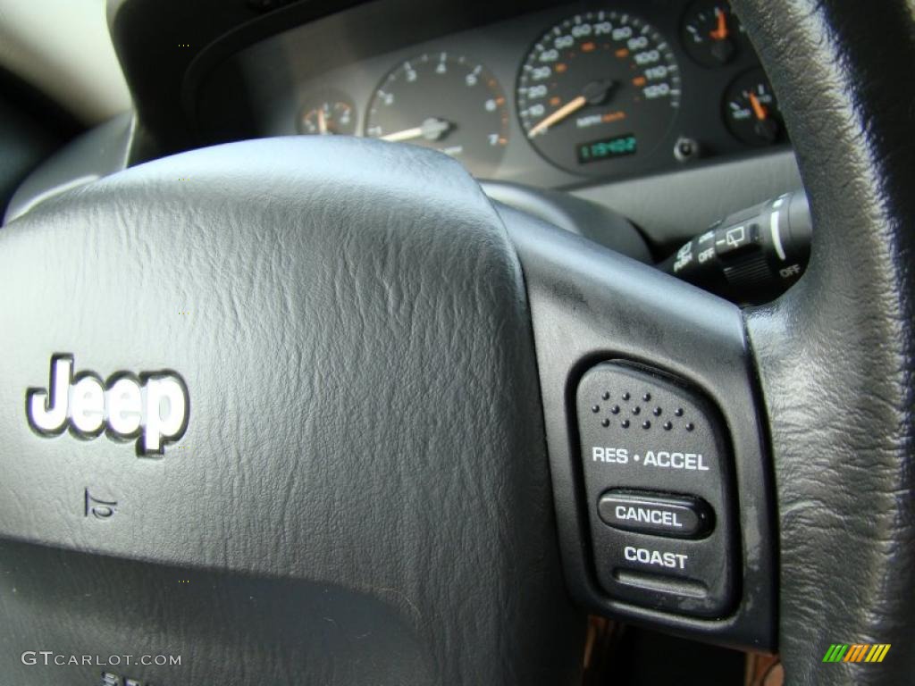 2003 Grand Cherokee Laredo 4x4 - Graphite Metallic / Dark Slate Gray photo #31