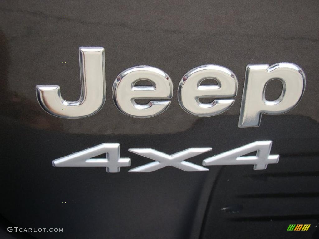 2003 Grand Cherokee Laredo 4x4 - Graphite Metallic / Dark Slate Gray photo #41