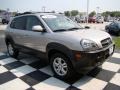 Sahara Silver - Tucson GLS V6 4x4 Photo No. 13