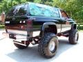 1995 Black Dodge Ram 1500 ST Regular Cab 4x4  photo #10