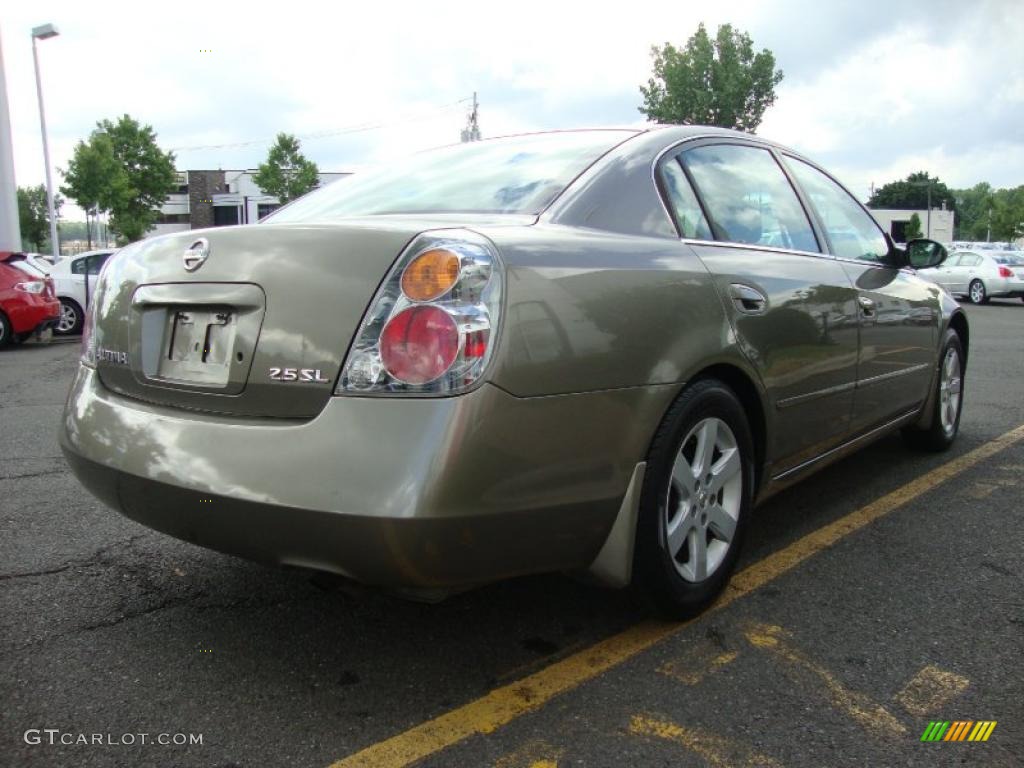 2004 Nissan altima colors #10